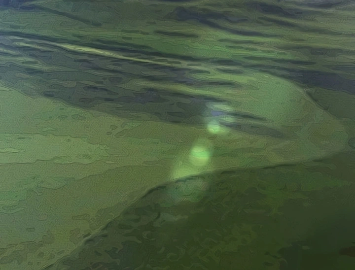 Ler My New Family Treats me Well Capitulo 94 Page 3