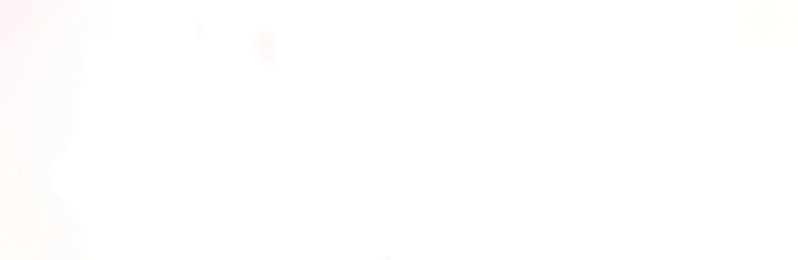 Ler Teacher’s Efforts Capitulo 70 Page 5