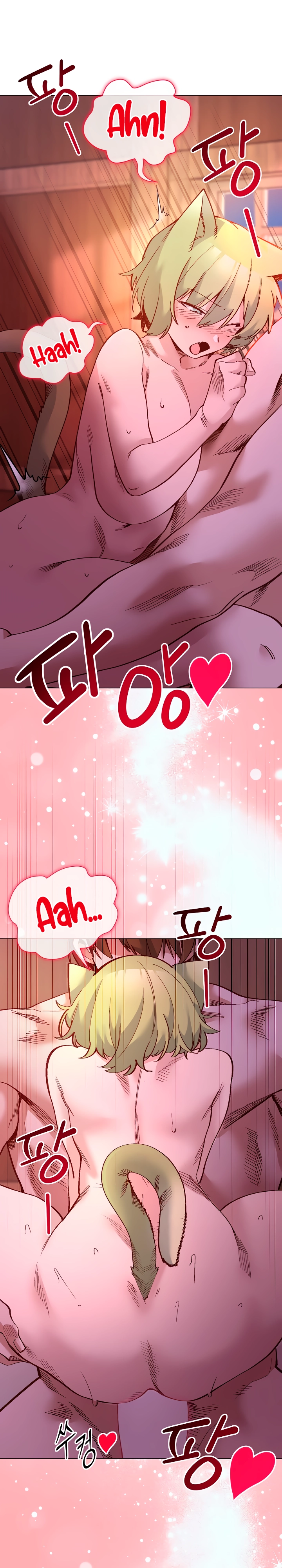 Ler I Will Protect the Lady Capitulo 47 Page 5