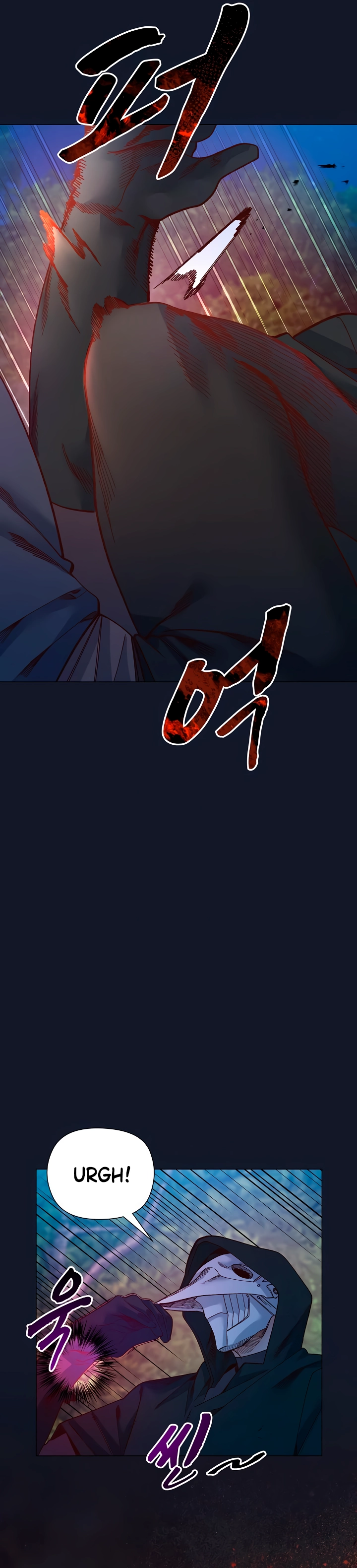 Ler I Will Protect the Lady Capitulo 51 Page 26