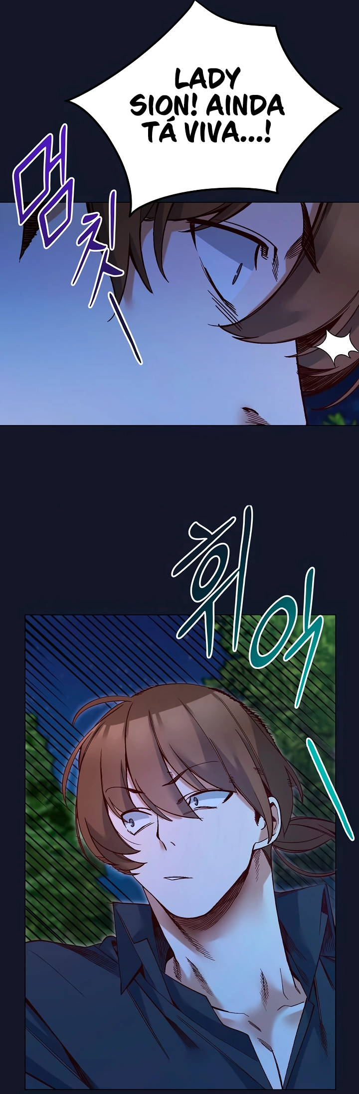 Ler I Will Protect the Lady Capitulo 52 Page 19