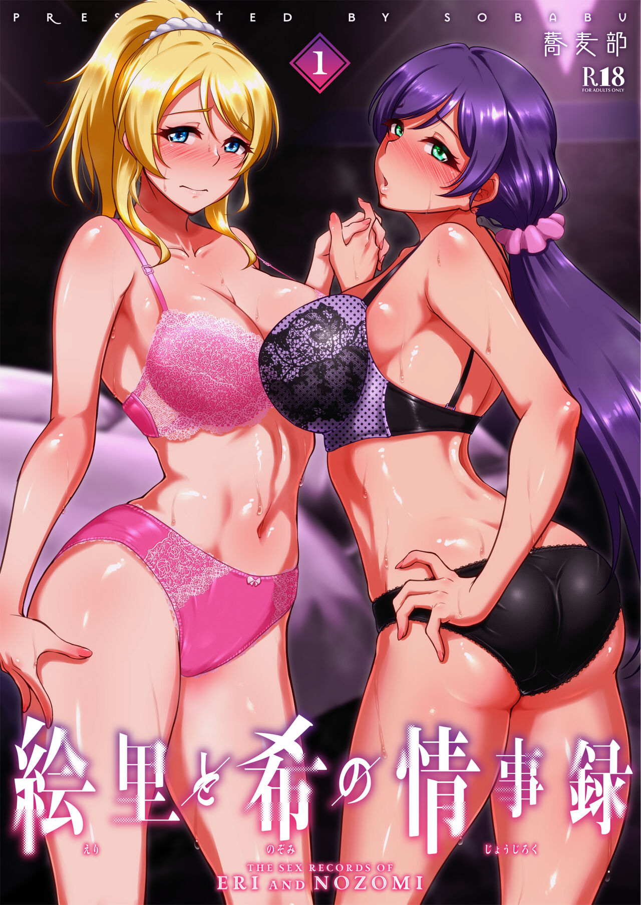 Ler Os Registros Sexuais De Eli e Nozomi Capitulo 1 Page 1
